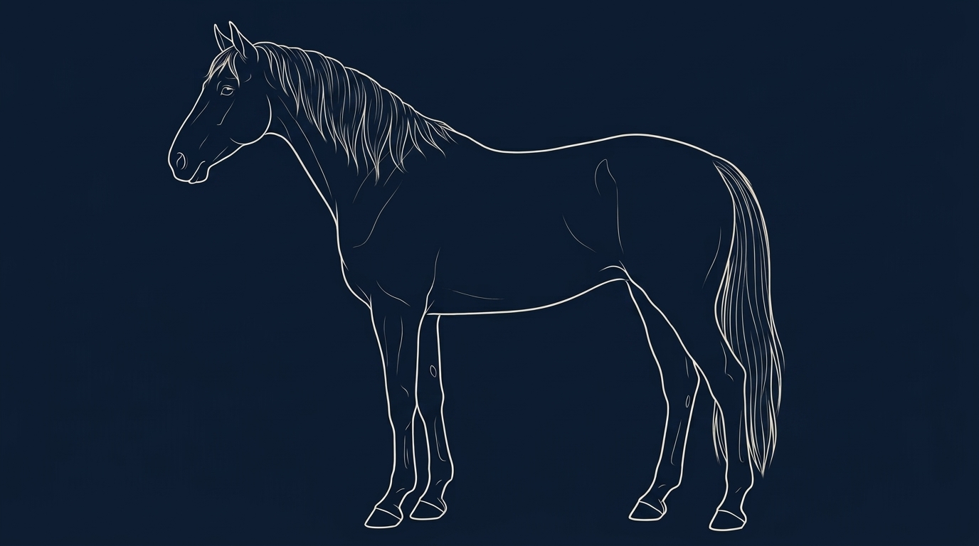Side-profile illustration of a horse.