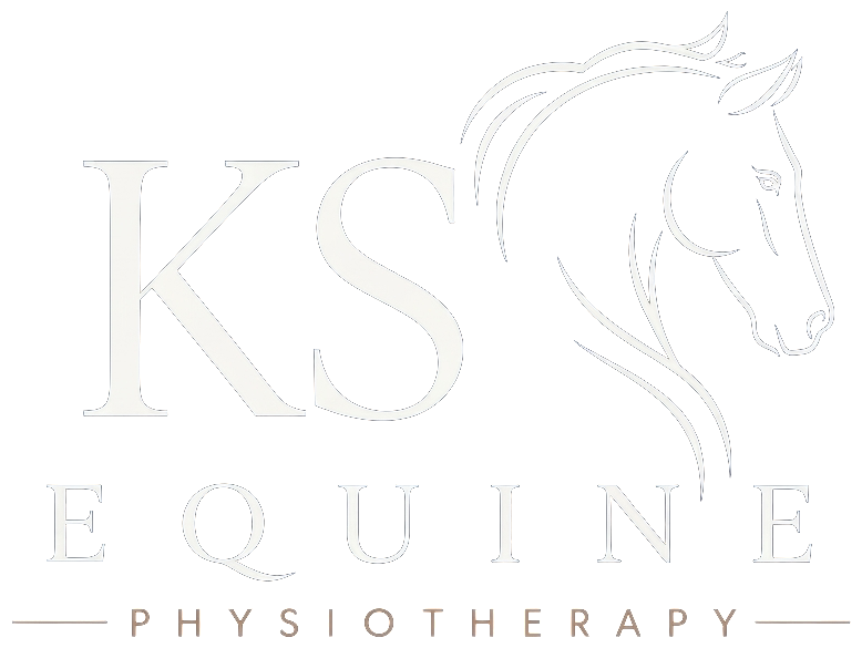 KS Equine Physiotherapy